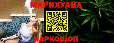 сатива Кингисепп