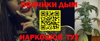 сатива Кингисепп