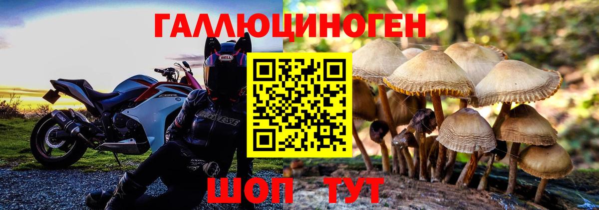 Галлюциногенные грибы мухоморы  Вход с VPN  как найти наркотики  Псилоцибиновые грибы прущие грибы  Югорск 
