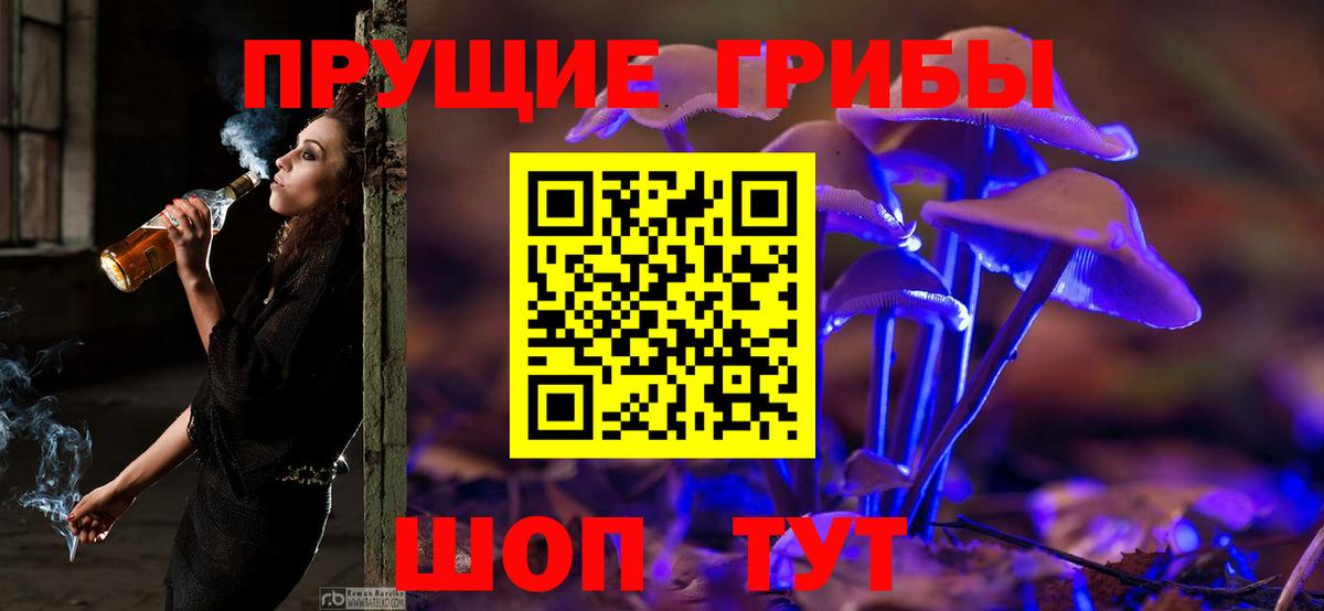 Псилоцибиновые грибы GOLDEN TEACHER Югорск